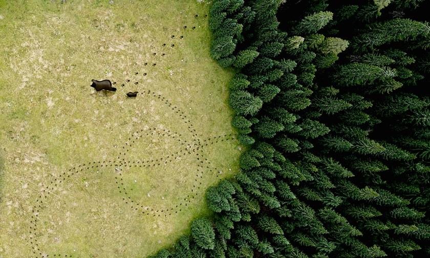 Wall&decò Обои для ванной Wet system 20 Wet_go2001 / wet_go2002 - Вид №2