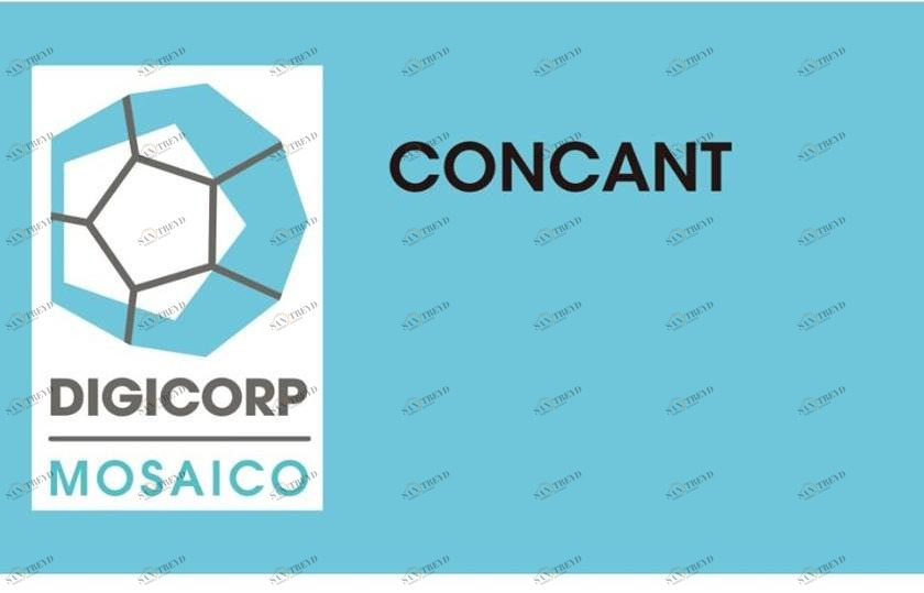 DIGI CORP Расчет метрики и учет работы Suitemosaico sun-id-1380635