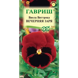 Семена фиалки Виттрока Вечерняя заря - разноцветное цветение с мая по сентябрь 89401707