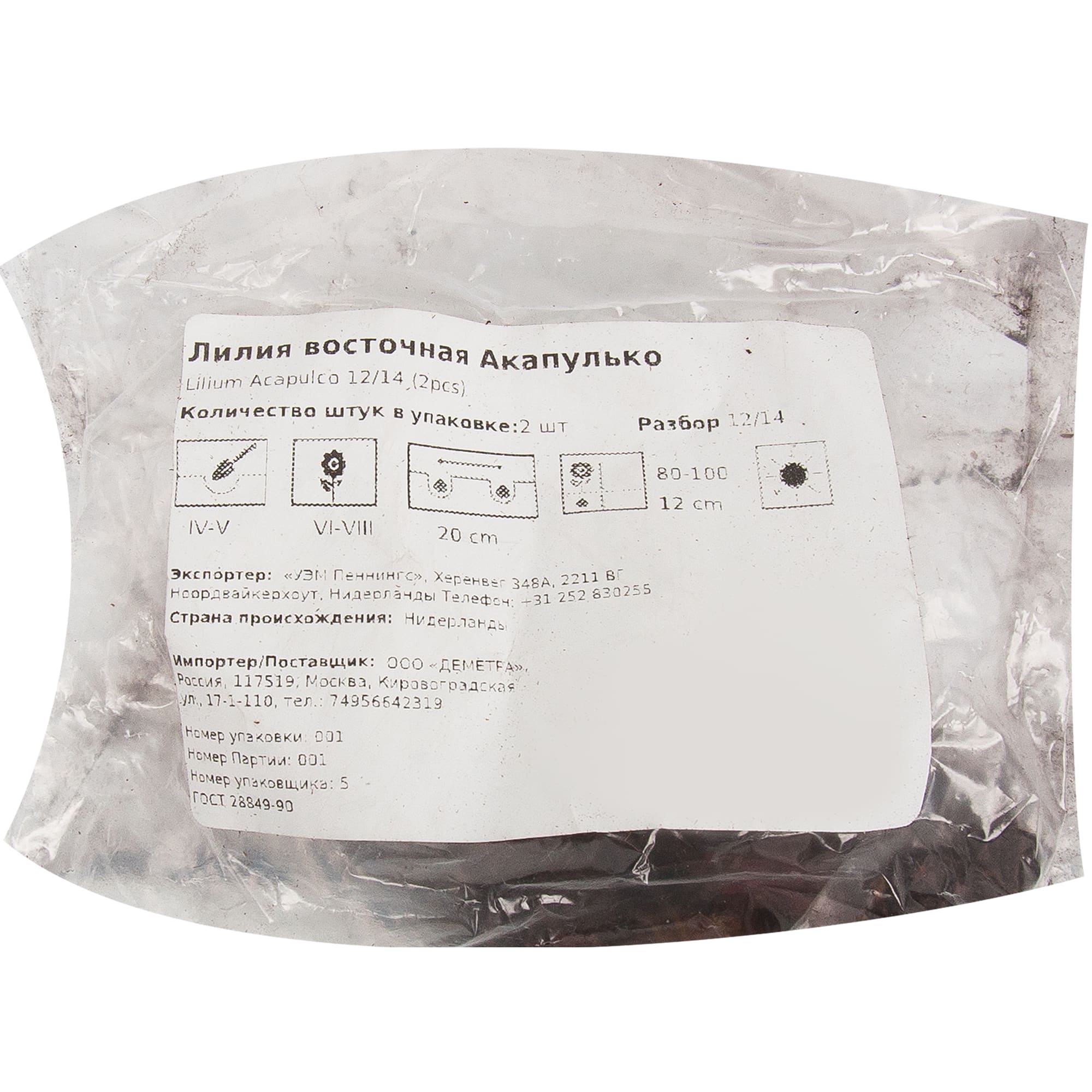 83760996 Лилия восточная Акапулько луковица 10/12 Santreyd  - Вид №1