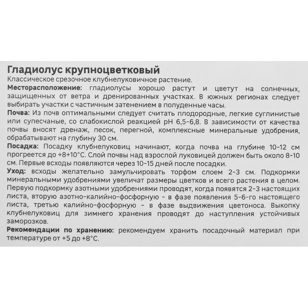 Гладиолус крупноцветковый Саншайн Geolia 3 шт 86408552 STLM-2115857  - Вид №3