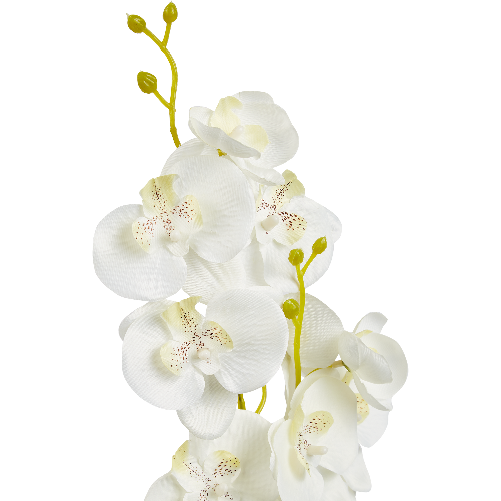 86762943 Искусственное растение Орхидея 40x39.5 см ПВХ цвет белый STLM-0071430 Santreyd  - Вид №2