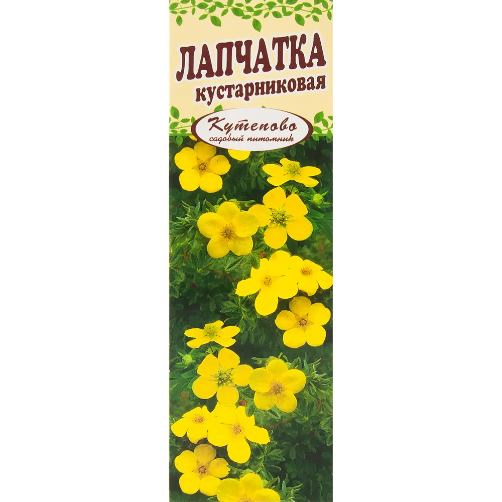 Лапчатка желтая в коробке 17496997 STLM-2098744 Santreyd 