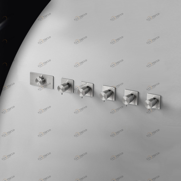 Термостат для душа AICO TER58S серебристый матовый Radomonte