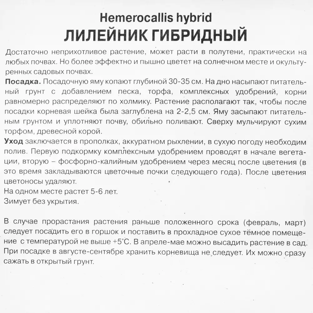 Лилейник гибридный «Лонгфилдз Перл», 1 шт. 82118729 STLM-2002443 Santreyd  - Вид №1