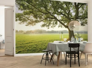 Komar Флизелиновые обои с пейзажами Wanderlust Shx9-086