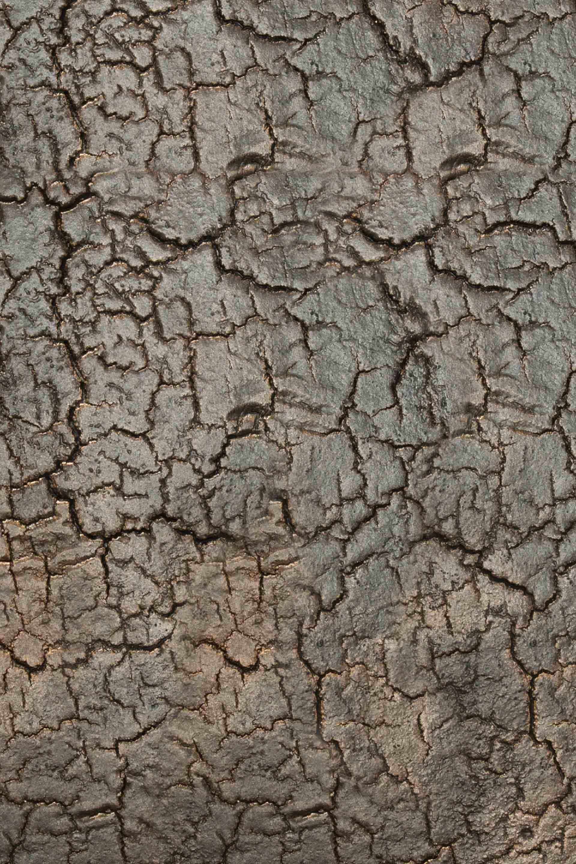 Металлическая прямоугольная консоль с полками Ethnicraft Pentagon ARCH-00137988 - Вид №5