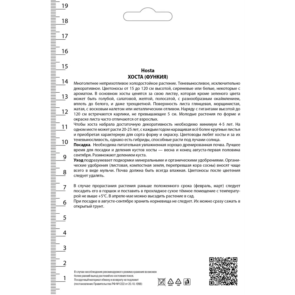 Хоста Зибольда Фрэнсиз Уильямс Santreyd STLM-2069170 - Вид №1