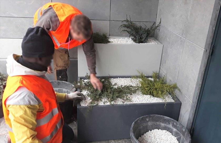 IMAGE'IN Сеялка из фиброцемента sun-id-1430642 - Вид №2