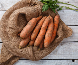 5223 Морковь Вкусляндия