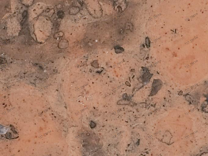 RAMA 1956 Мраморный пол / стена Rocce wall floor sun-id-1383338