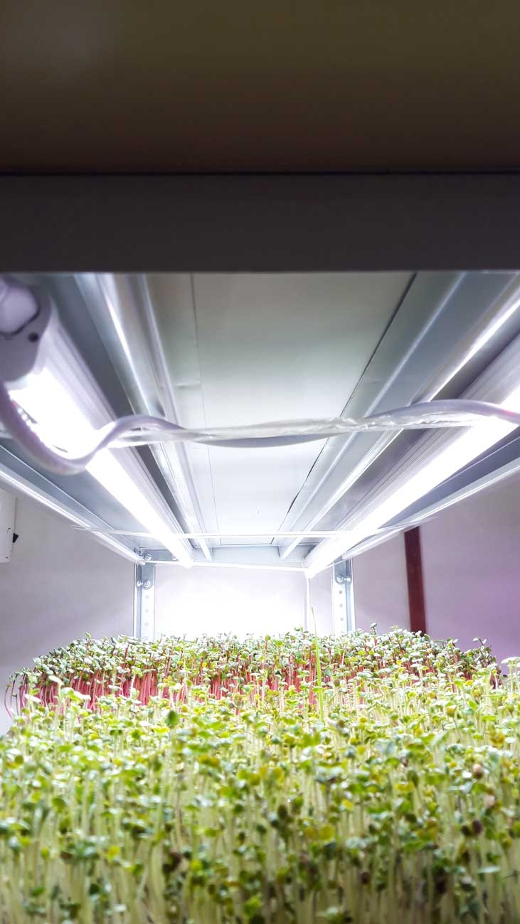 1033 Фитолампа для растений линейная VA-3 60 см Фулл комфорт 4000+660 LAB.Space  - Вид №4