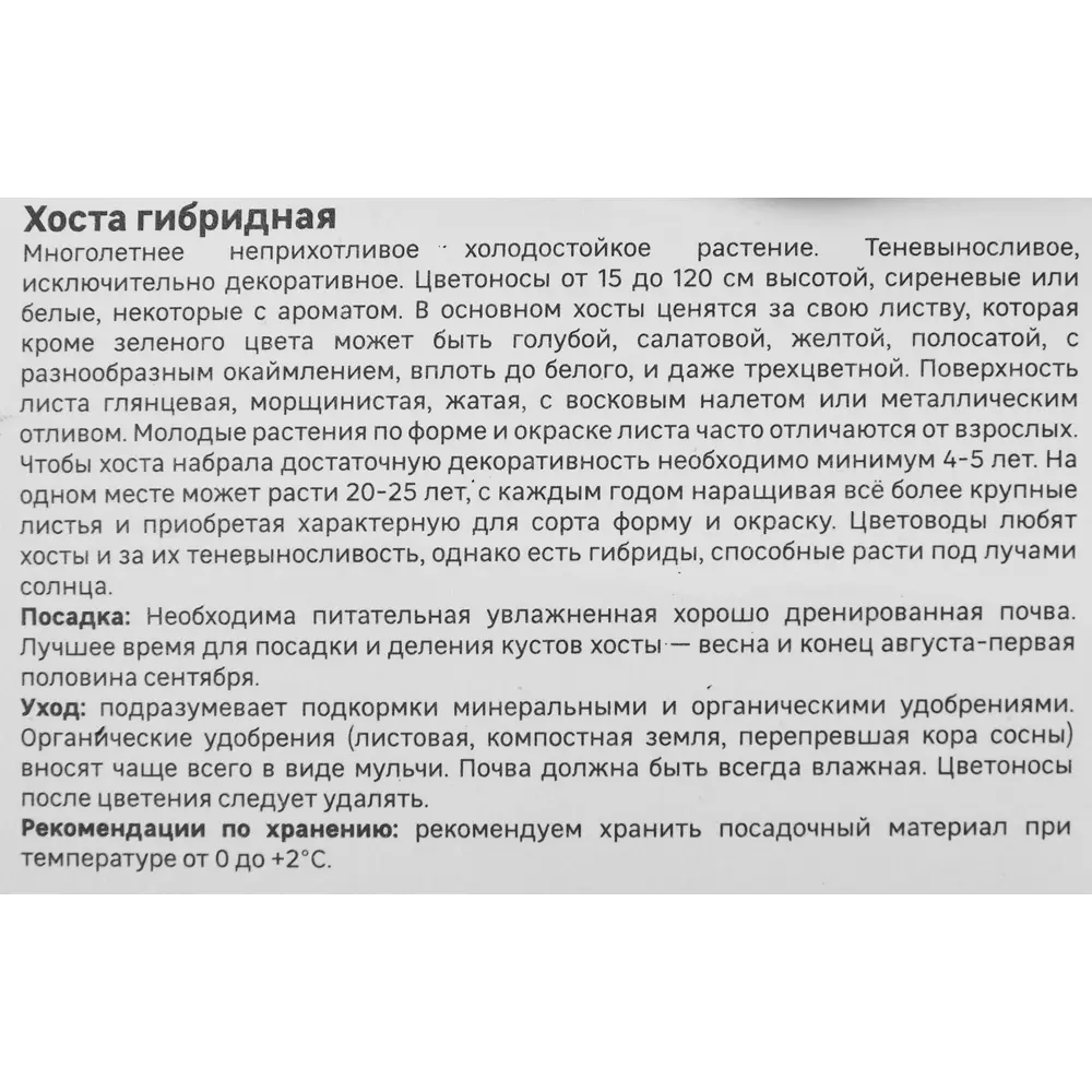 Хоста гибридная Канадиан Блу Santreyd STLM-2038356 - Вид №3