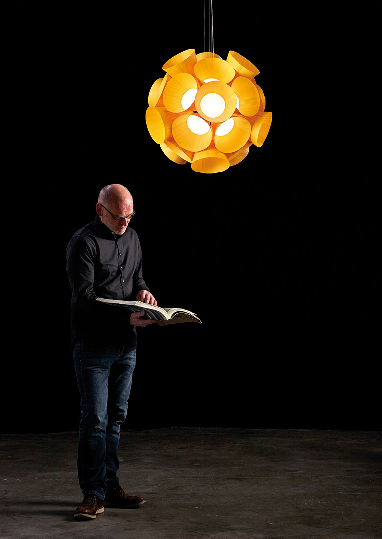 005895 Подвесной светильник LZF Dandelion Santreyd - Вид №18