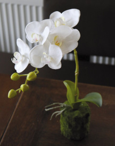 2855 777 a3 Пластиковая орхидея Phalaenopsis с 'почвой', 43 см, real touch, белая H-andreas