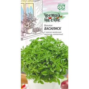 Семена зелени Гавриш Урожай на окне базилик Василиск