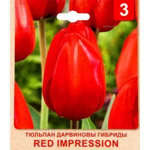 Тюльпан «Red Impression» размер луковицы 10/11, 3 шт. 82365331 STLM-2149510