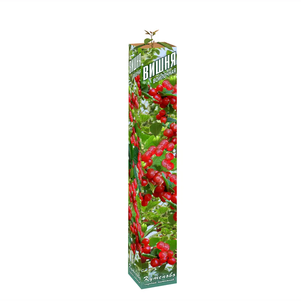 Вишня войлочная Океанская вировская в тубе 82559154 STLM-2174467 Santreyd 
