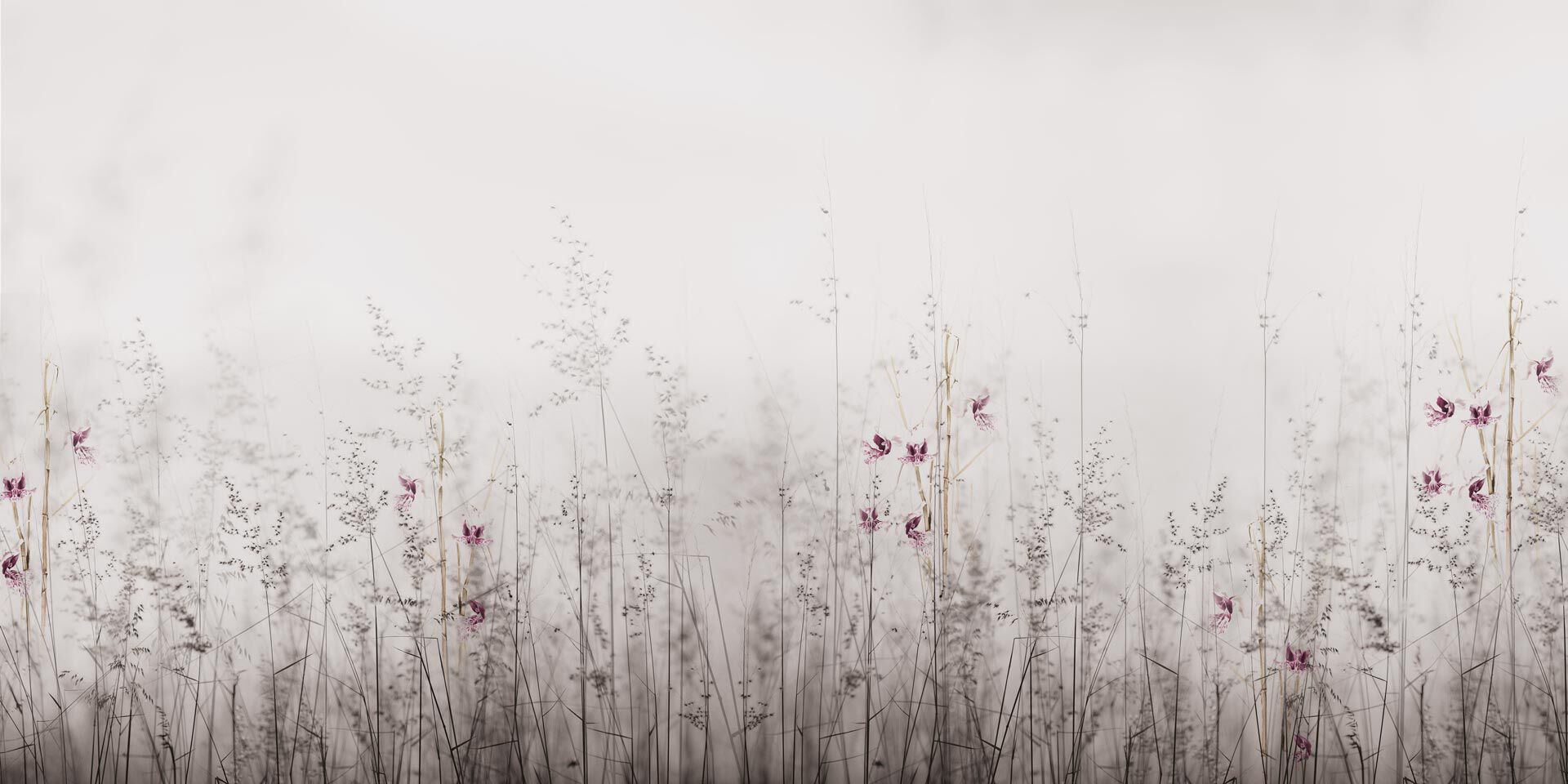 Обои с цветочным узором Rimura 2024 ARCH-00006180