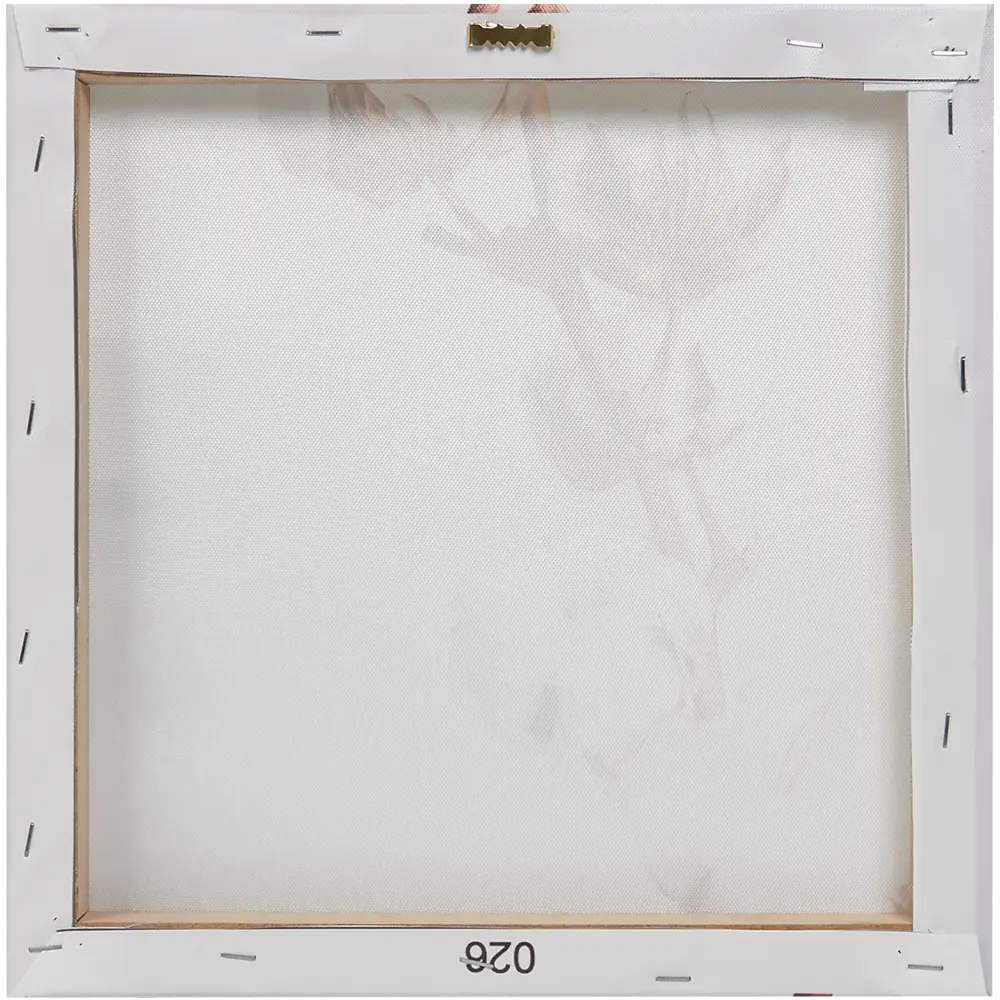 Картина на холсте «Хлопок» 30x30 см 82402338 STLM-2134607 Santreyd  - Вид №2