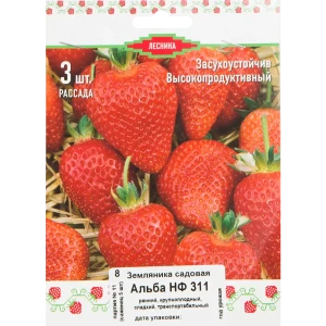 Земляника традиционная ранняя 3 шт. 82528931 STLM-2175579