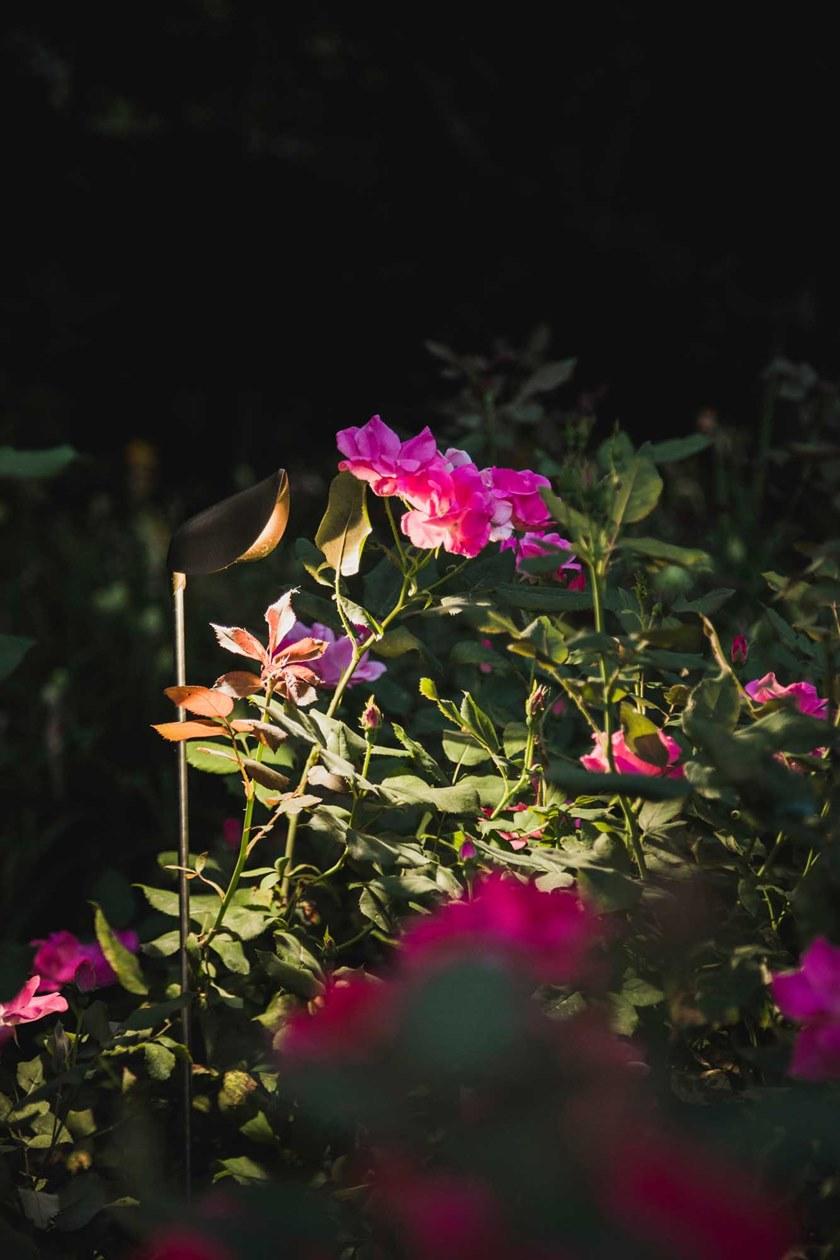 Olev Светодиодная уличная лампа sun-id-1509141 - Вид №4