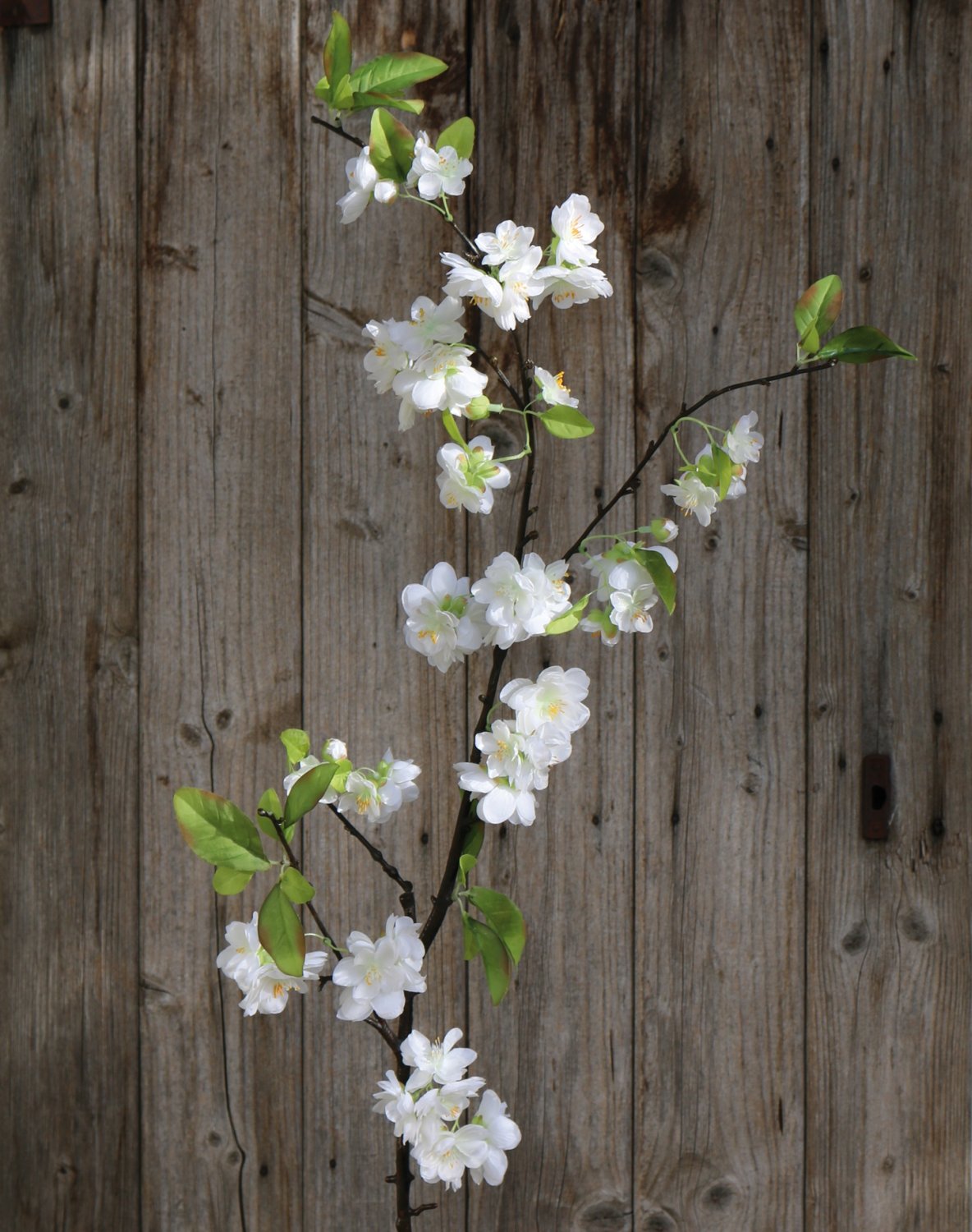 3206 778 a3 Искусственная ветка сакуры, 110 см, бежево-белая H-andreas  - Вид №5