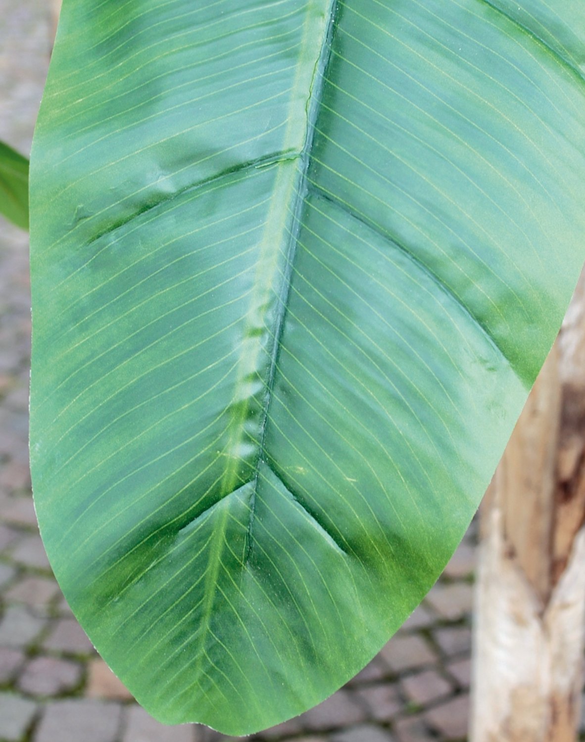 5782 883 a3 Банановое дерево из шелка, в горшке, 270 см, зеленое H-andreas  - Вид №4