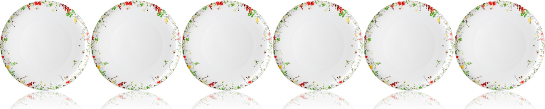 10645667 Rosenthal Набор тарелок обеденных Rosenthal Дикие цветы 27см, фарфор, 6 шт Фарфор 