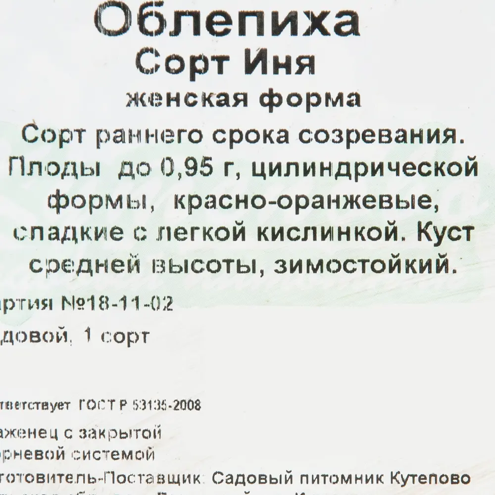 Облепиха «Иня» C2 высота 40 см 82597107 STLM-2157299 Santreyd  - Вид №1