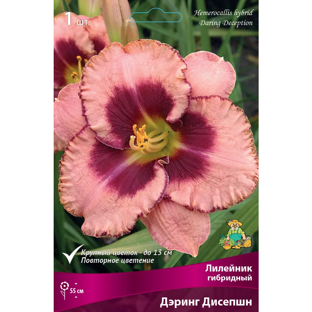 Лилейник гибридный Дэринг дисепшн луковица I 88294949 STLM-2062953 Santreyd 