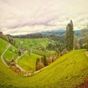 WP01659 Фотообои Verol Фотообои decoline 1х1 м