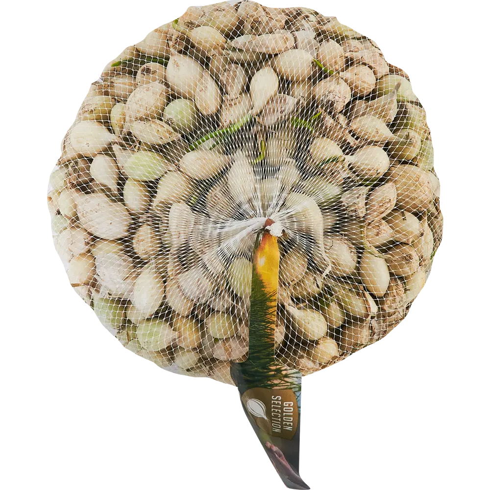 Лук-севок Стардаст 21/24 1 кг Santreyd STLM-2026932 - Вид №1