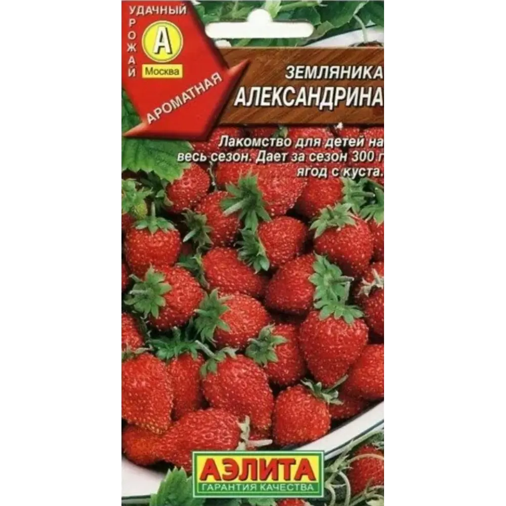 Земляника «Александрина» Santreyd STLM-2171145