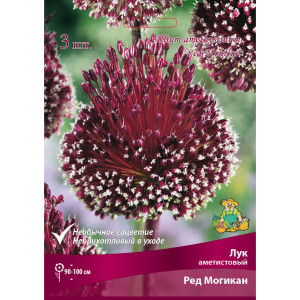 Лук аметистовый «Ред Могикан» размер луковицы 10/12, 3 шт.