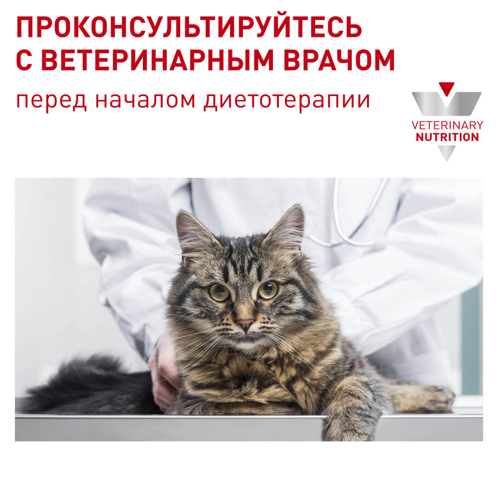 ПР0057302 Корм для кошек Vet Diet Neutered Satiety Balance для поддержания формы после кастрации сух. 300г ROYAL CANIN  - Вид №6