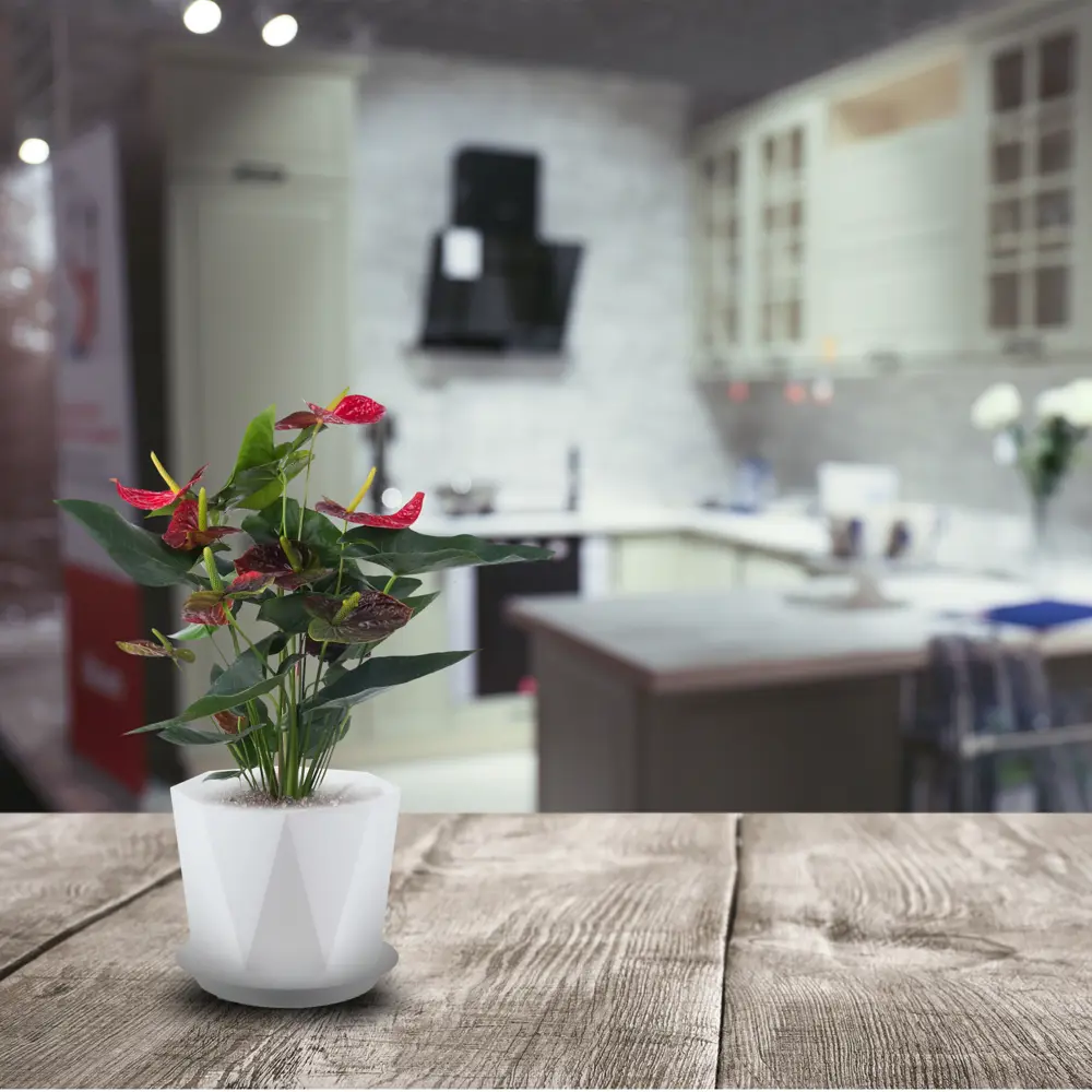 Santreyd Антуриум Дакота - Цветок фламинго с алыми соцветиями 14031393 STLM-0004204 - Вид №3