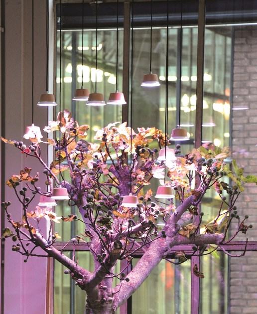 Linea Light Group Подвесной светильник / настольная лампа Chlorophyll sun-id-1445967 - Вид №1