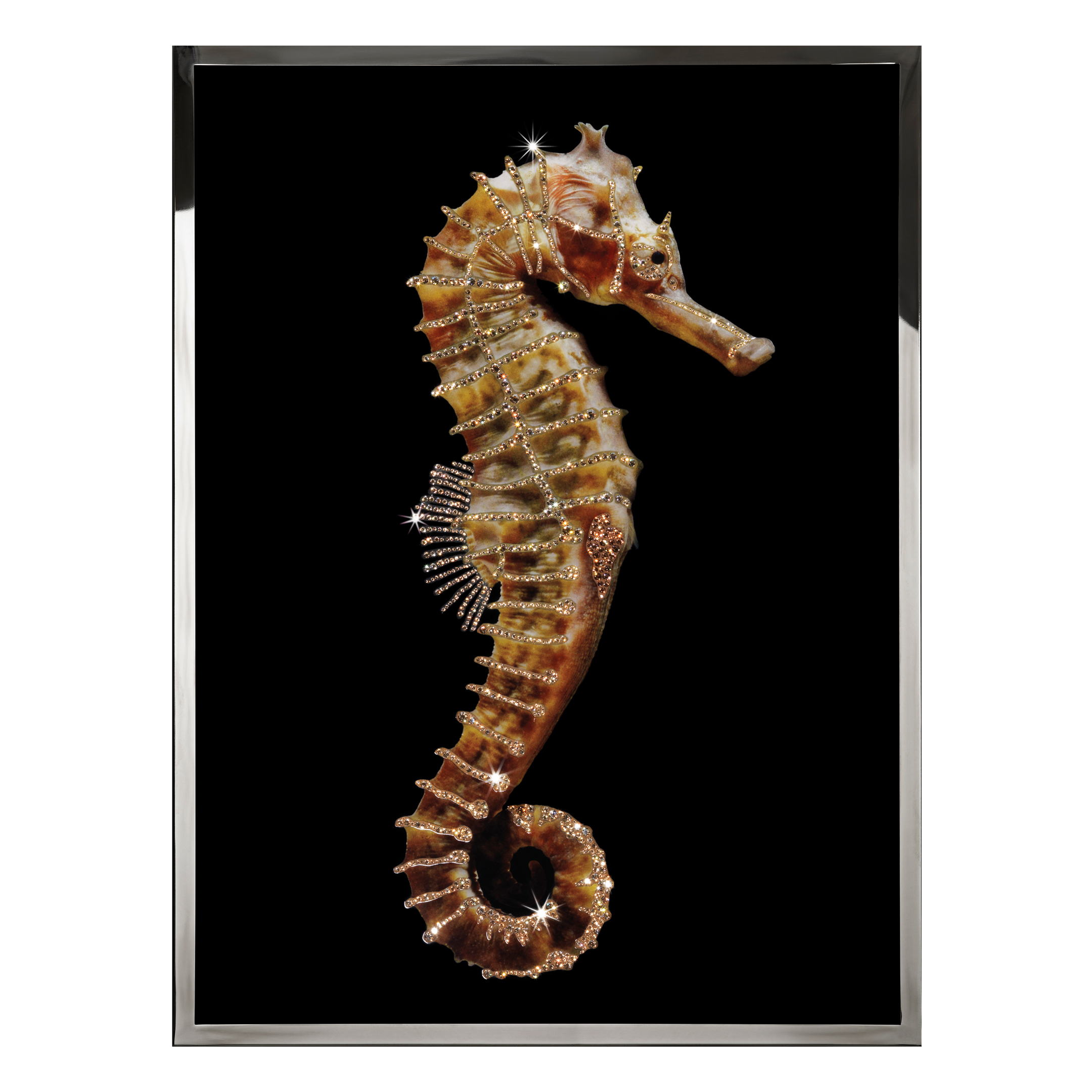 Hippocampus Смешанная техника Visionnaire  - Вид №1