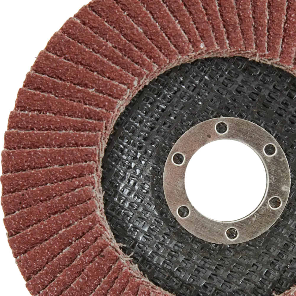 Santreyd Лепестковый шлифовальный круг для деликатной обработки поверхностей 85564574 STLM-1548078 - Вид №2