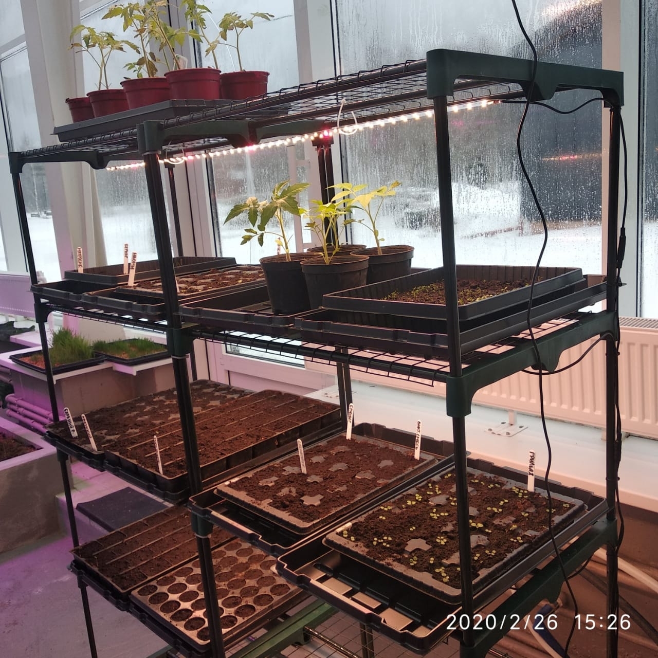 3301 Sunlike 4000 2.1.b Quantum line 300 мм 4000K+660nm LAB.Space  - Вид №2