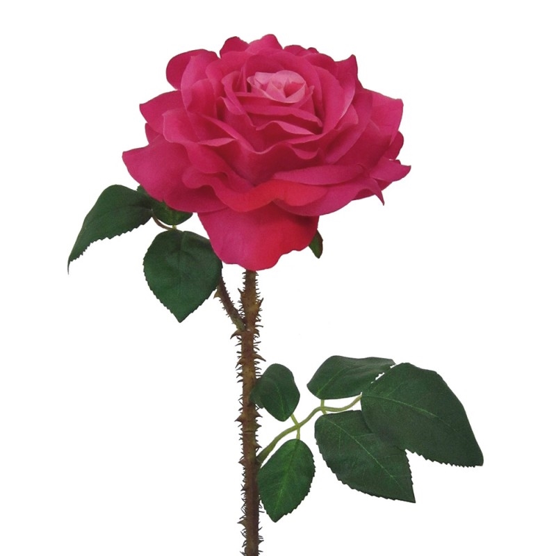 L131X7 Роза Регия Adriani e Rossi белый  - Вид №2