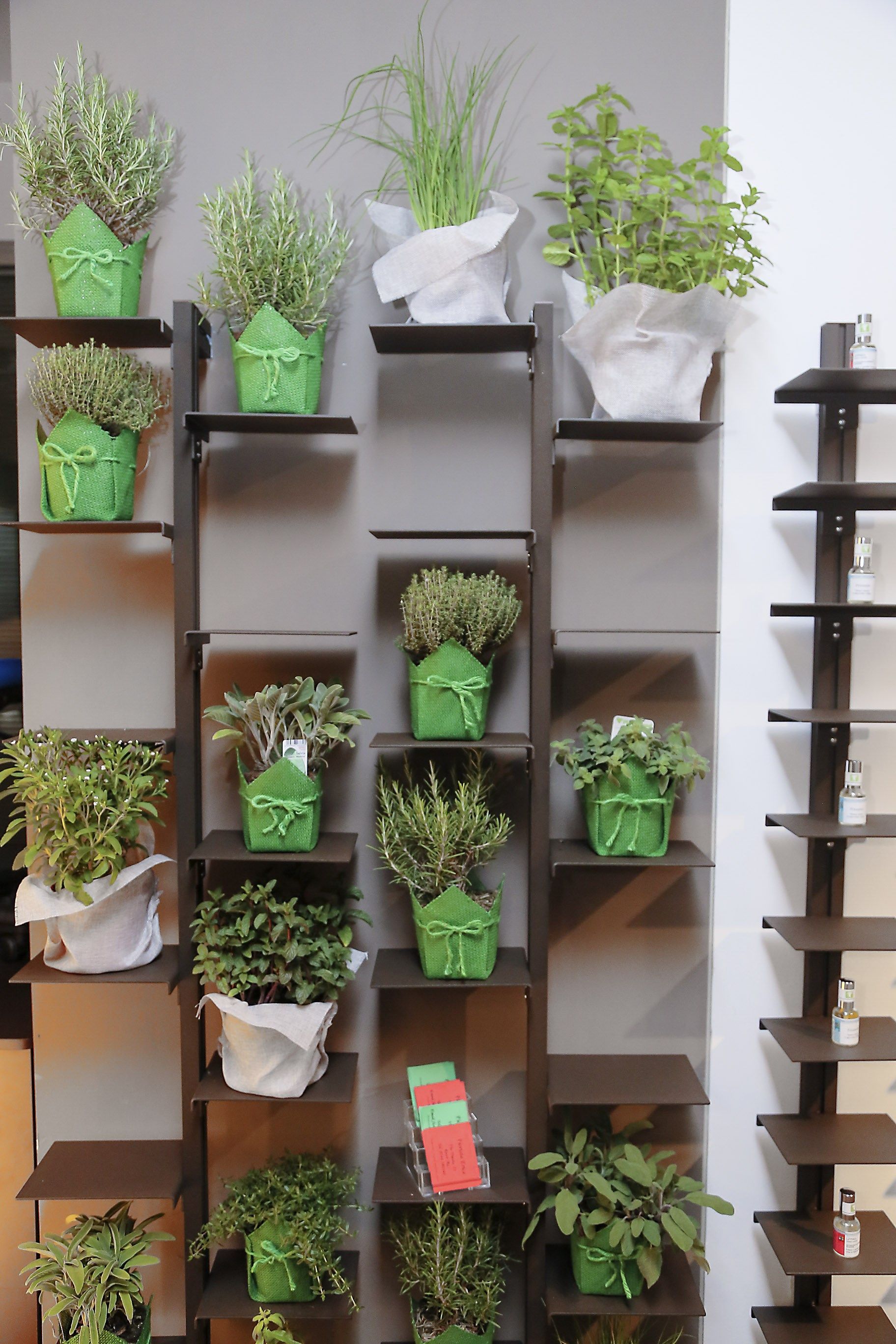 Книжный шкаф / держатель для банок из листового металла STUDIO T InUno ARCH-00132535 - Вид №11