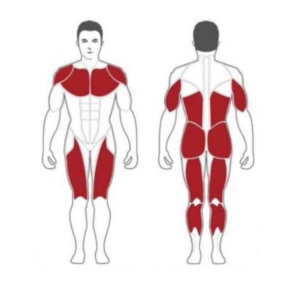 M3DLM Steel flex m3dlm машина смита 3d Steel Flex  - Вид №1