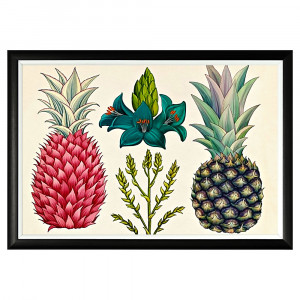 896518656_1818 Арт-постер «Бромелия царская» Object Desire