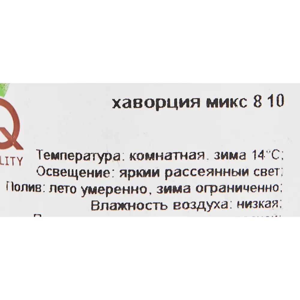 Santreyd Хавортия - суккулент для современного интерьера 82580126 STLM-0030569 - Вид №2
