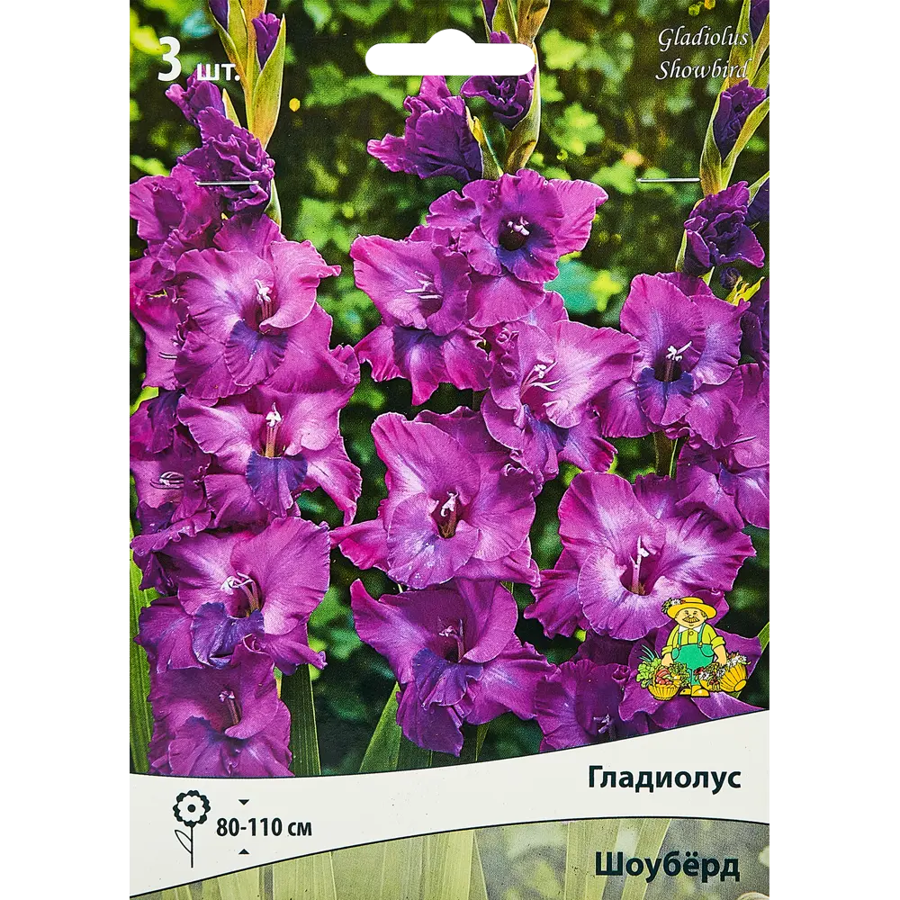 Гладиолус крупноцветковый Шоуберд, 3 шт. 89351798 STLM-2156408 ПОИСК 