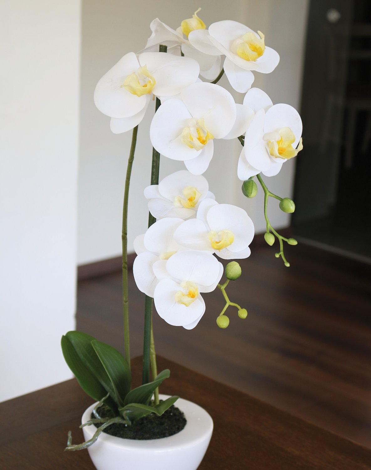 2606 778 a3 Искусственная орхидея Phalaenopsis, 55см, в горшке, real touch soft, кремово-белая H-andreas 