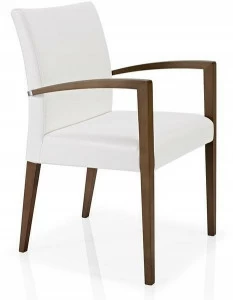 JMS Стул с подлокотниками Cassis M 15c