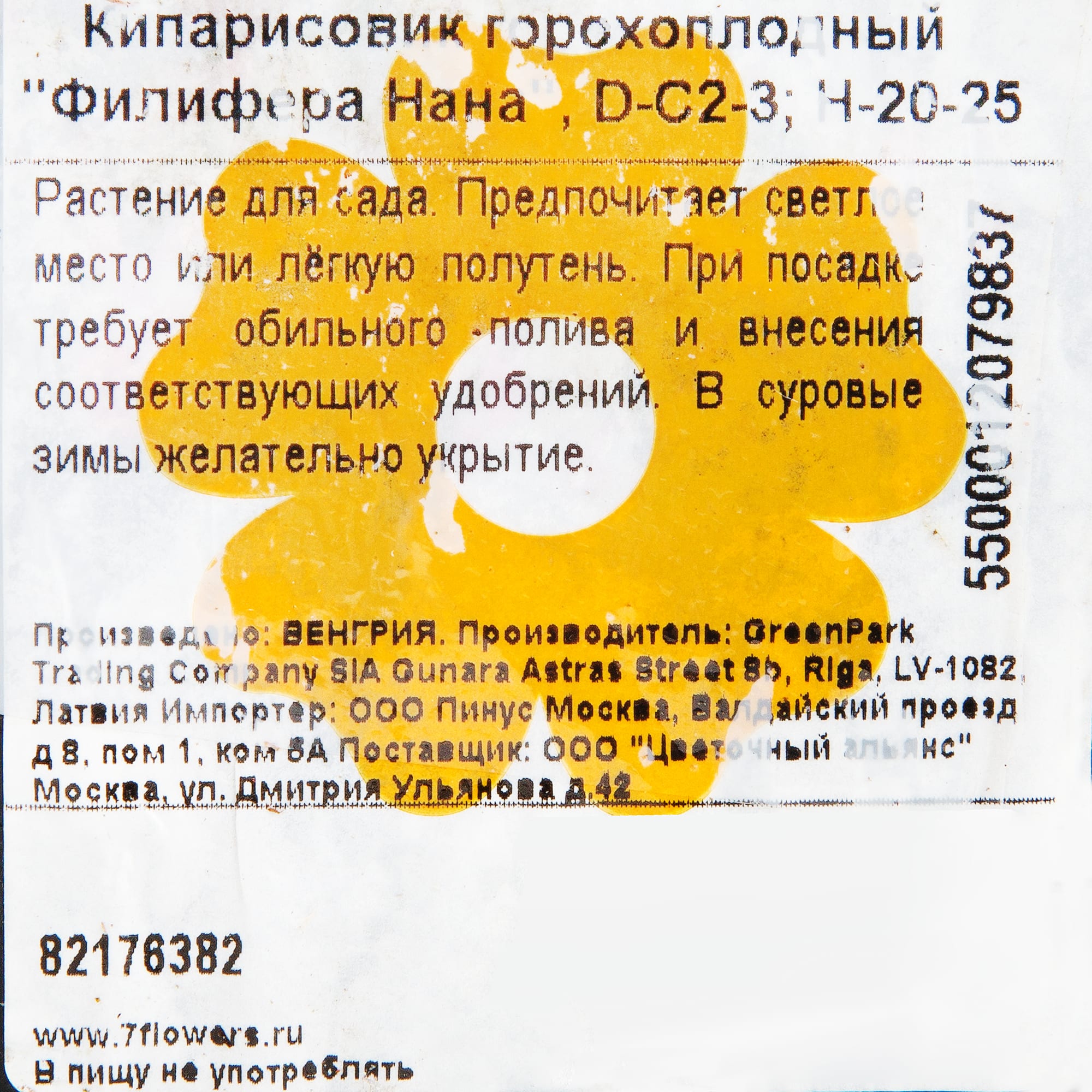 82176382 Кипарисовик горох «Филифера Нана» 2-3л 20 см Santreyd  - Вид №1